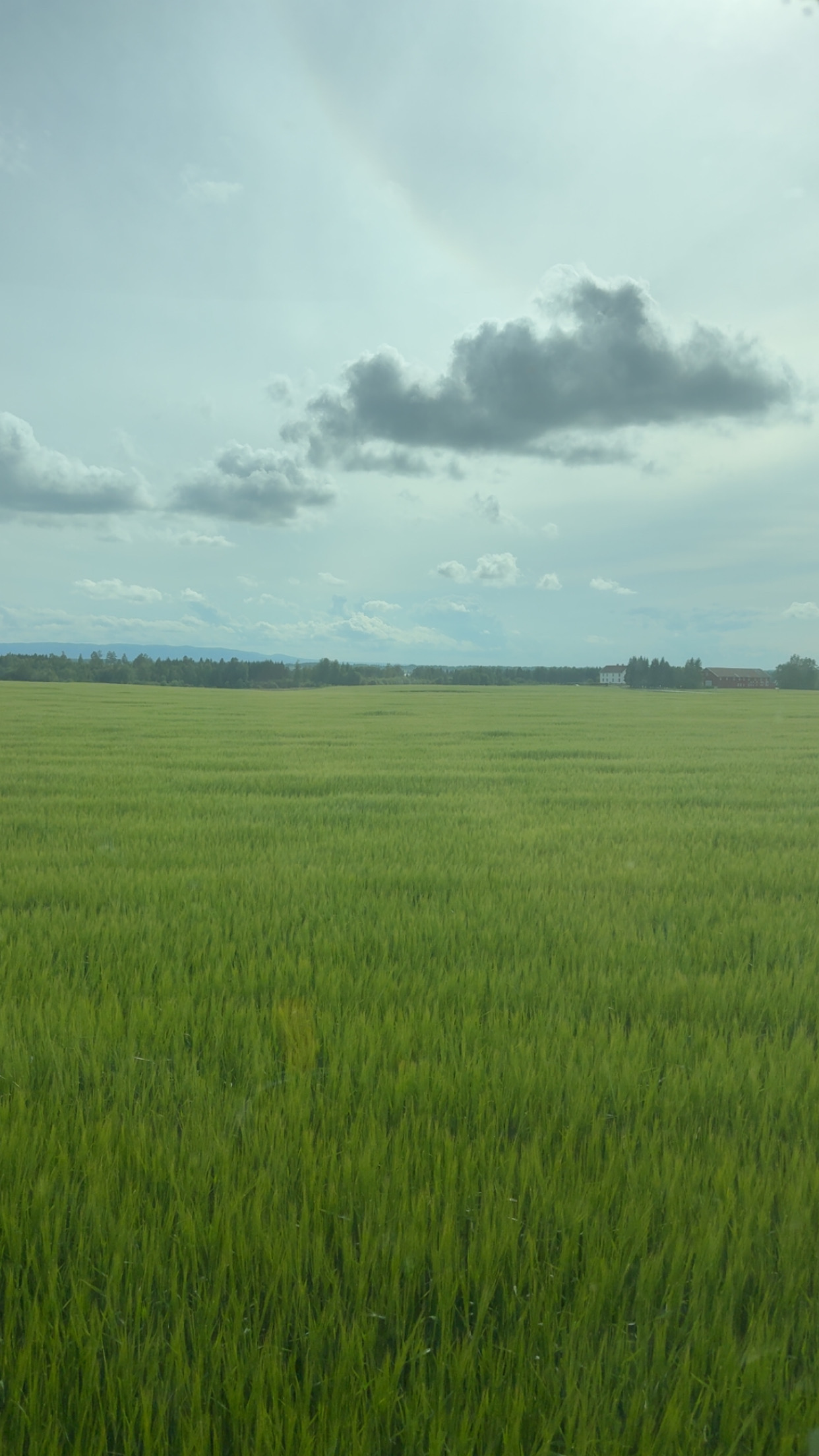 Haukstad Gård - Produksjon og gårdsliv