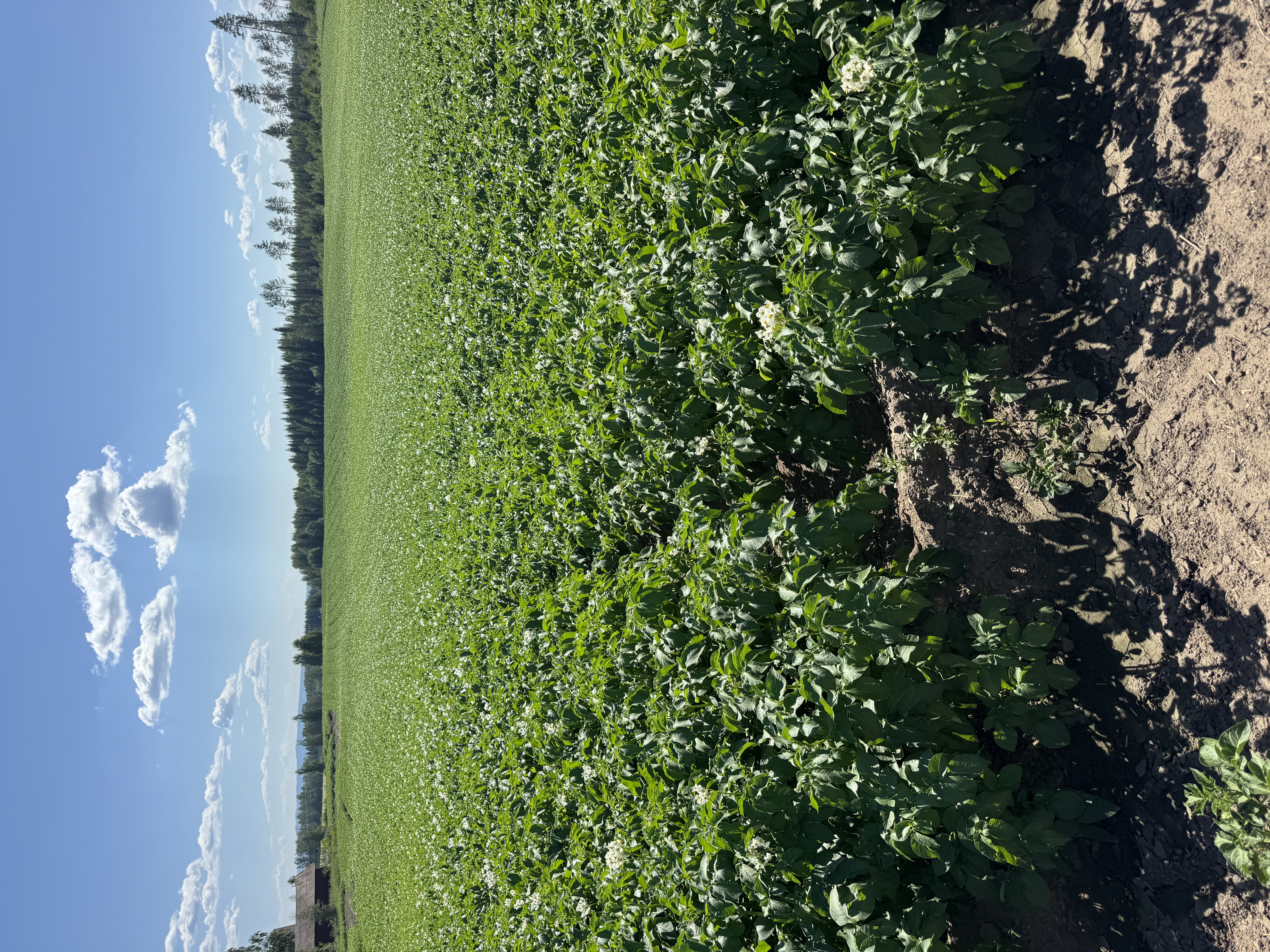 Haukstad Gård - Produksjon og gårdsliv