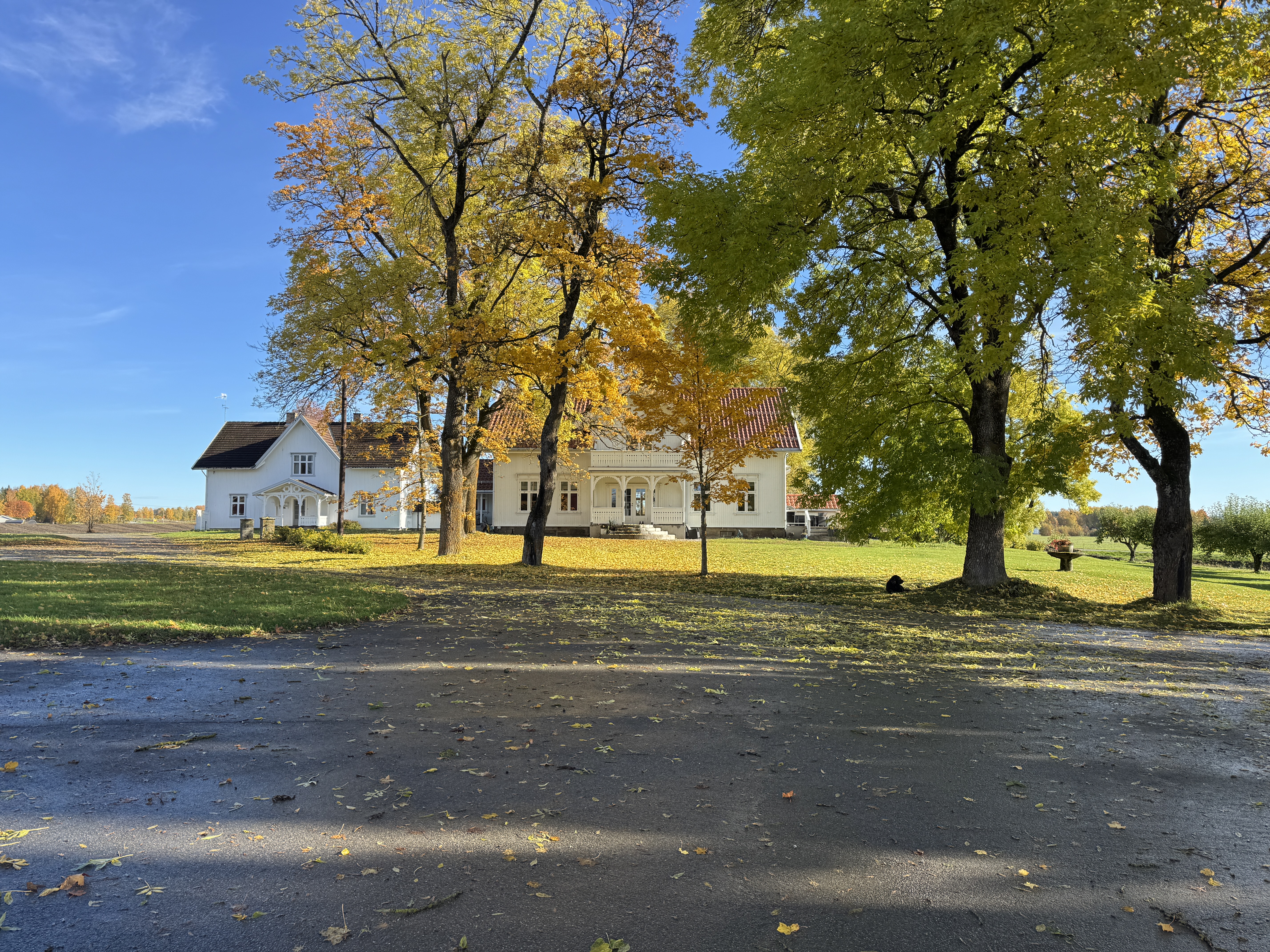 Haukstad Gård - Produksjon og gårdsliv