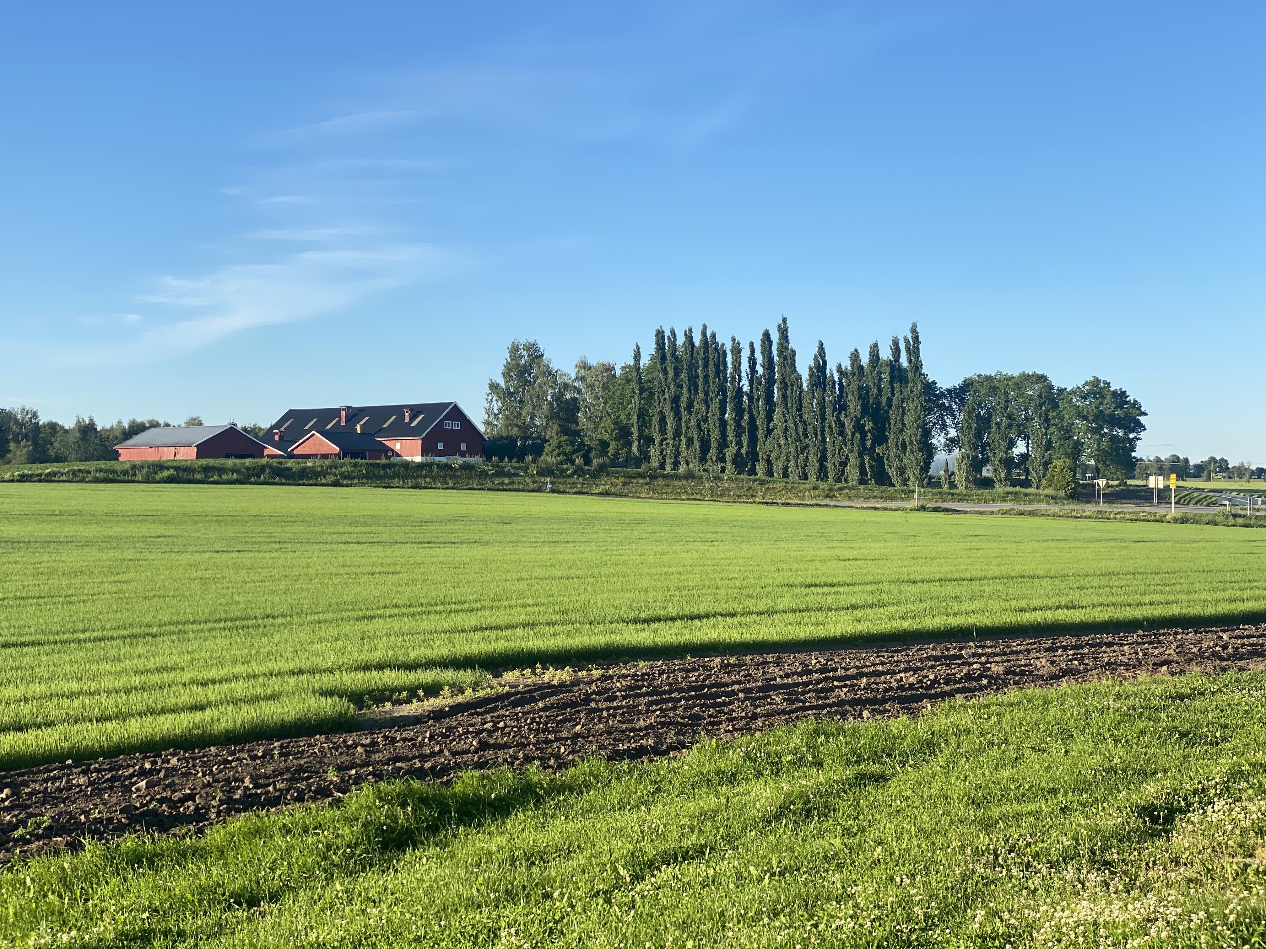 Haukstad Gård - Produksjon og gårdsliv