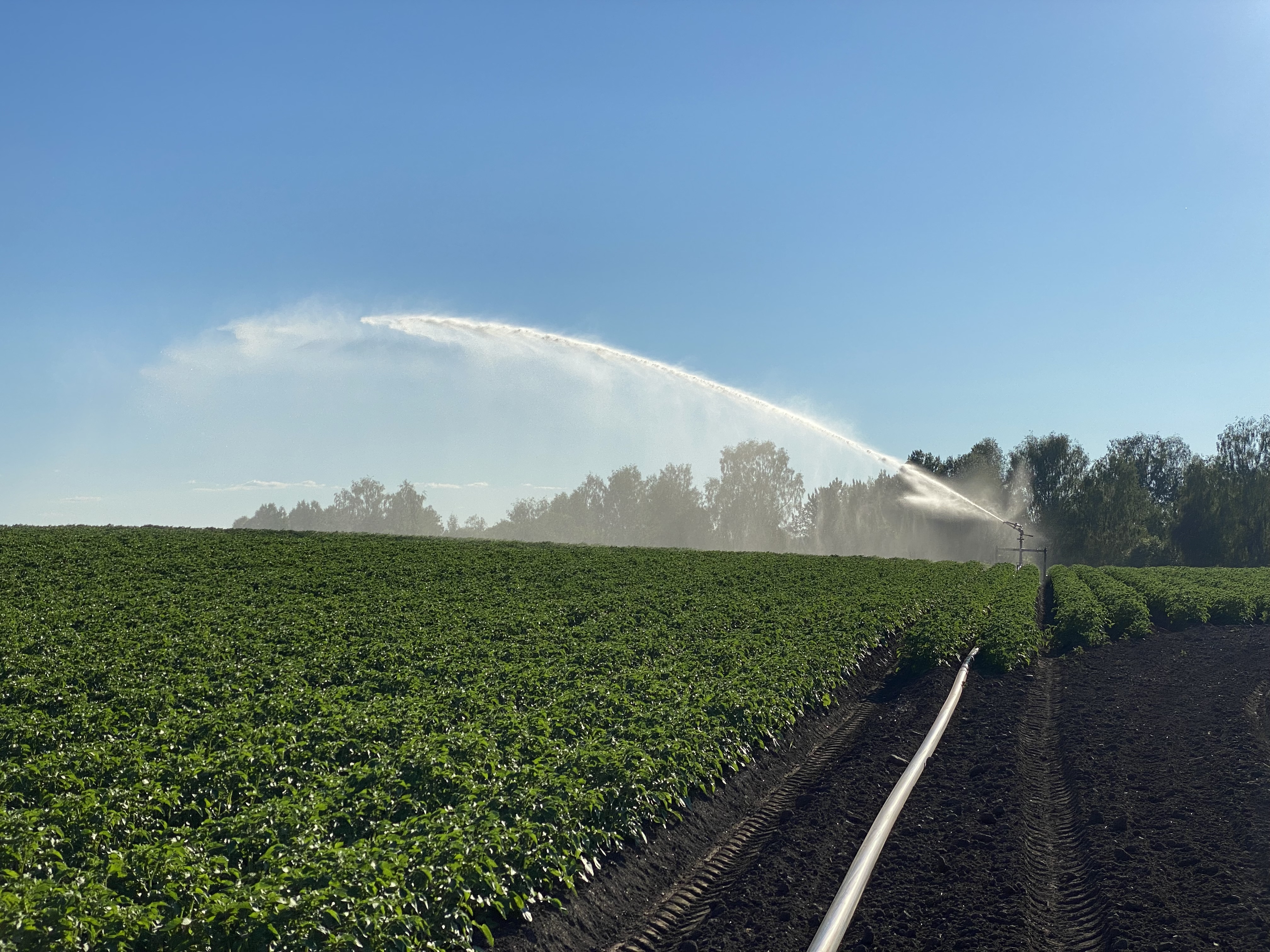 Haukstad Gård - Produksjon og gårdsliv